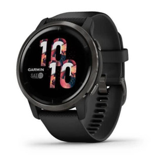 Смарт-часы Garmin Venu 2 Plus Slate/Black with Black Band (010-02496-11)