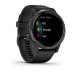 Смарт-часы Garmin Venu 2 Plus Slate/Black with Black Band (010-02496-11)