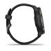 Смарт-часы Garmin Venu 2 Plus Slate/Black with Black Band (010-02496-11)