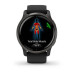 Смарт-часы Garmin Venu 2 Plus Slate/Black with Black Band (010-02496-11)