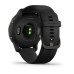 Смарт-часы Garmin Venu 2 Plus Slate/Black with Black Band (010-02496-11)