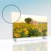 Телевизор Thomson Android TV 32 HD White 32HA2S13W