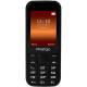 Мобильный телефон Prestigio Wize G1 1243 Dual Sim Black (PFP1243DUOBLACK)
