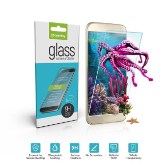 Защитное стекло ColorWay для Sony Xperia XA F3112, 2.5D (CW-GSRESXA)