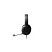 Гарнитура SteelSeries Arctis RAW Black (61496)