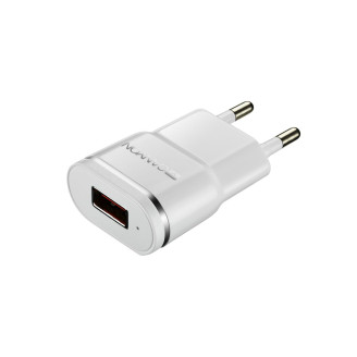 Сетевое зарядное устройство Canyon (1USB, 1A) White Silver (CNE-CHA01WS)