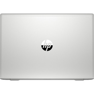 Ноутбук HP ProBook 455R G6 (7HW14AV_V9)