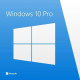 ПО MS Windows 10 Professional 64-bit Eng Intl 1pk DSP OEI DVD (FQC-08929)