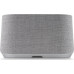 Акустическая система Harman/Kardon Citation 300 Gray (HKCITATION300GRYEU)